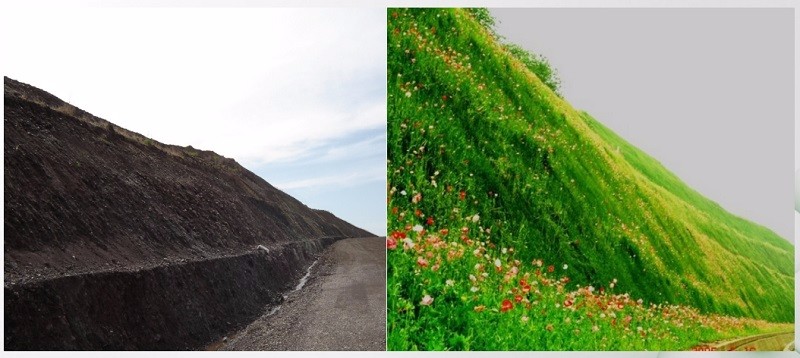 2013年福永高速福州段两年后效果图