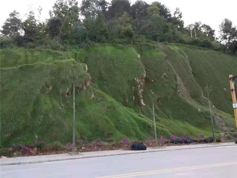 高速公路边坡绿化